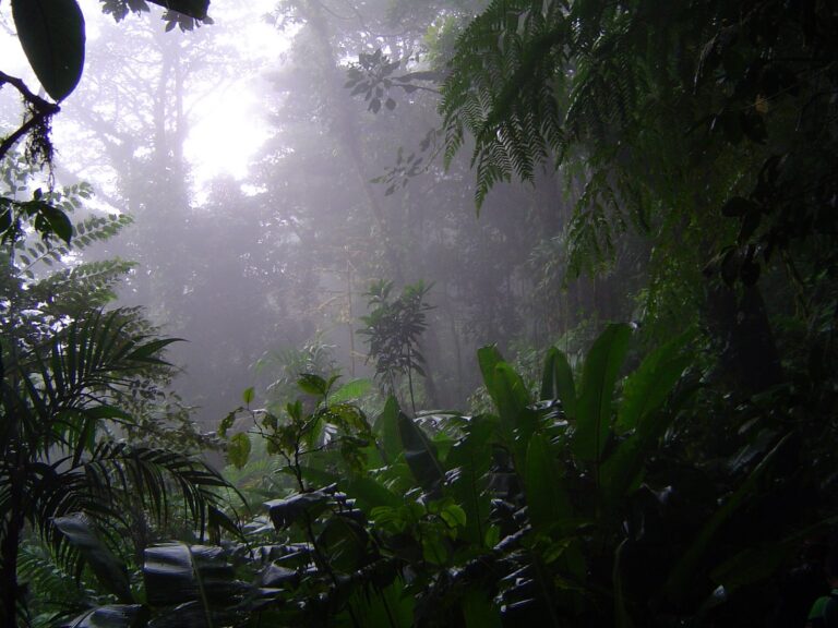 Public Holidays Costa Rica 202 with with date and weekday